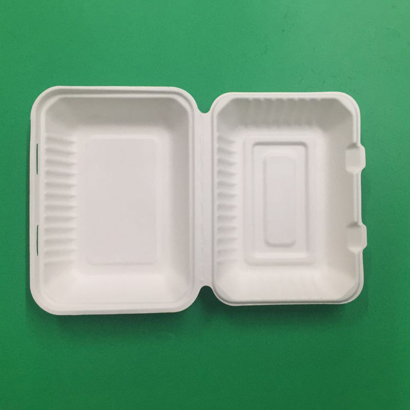 Sanitary Biodegradable Sugarcane Bagasse Paper White Tableware