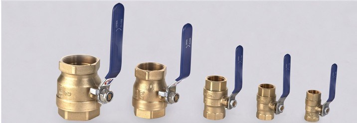 Bronze Valve & Bronze Stop Valve & Bronze Check Valve (BDV016)