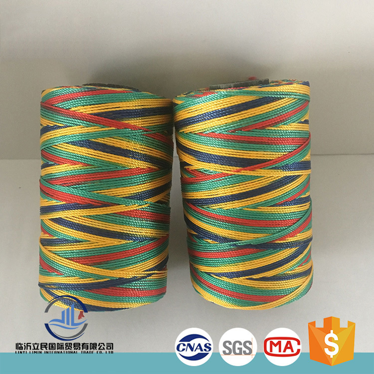 Professional Factory Fishing Net PE Rope Twine