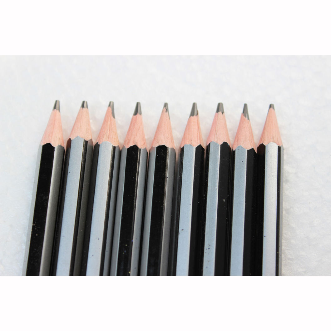 High Quality Drawing Pencils, Black/Silver Stripe Pencils Hb with DIP End