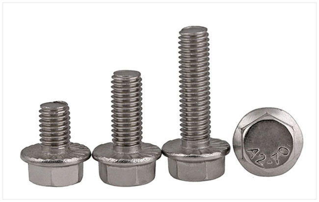 Stainless Steel Hex Head Hexagon Flange Bolt