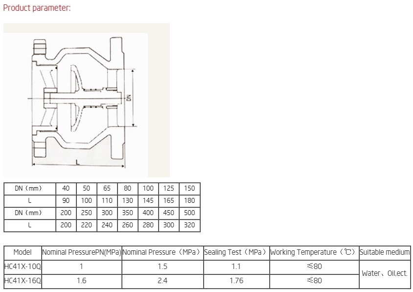 Non-Slamming Flanged Check Valve