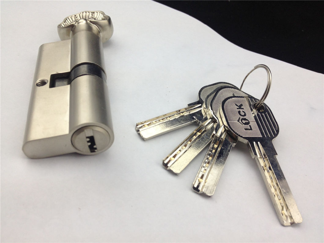 High Security Brass Computer Key Cylinder (L70 5C S1)