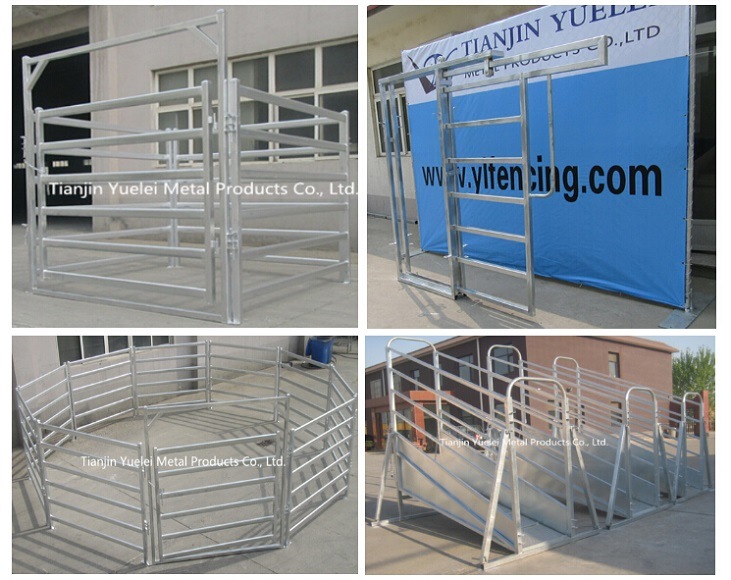 China Factory Supplied Fence Panels/Oval Pipe Galvanized Cattle Panel/6 Bars Steel Cattle Corral Panels/Hot Dipped Galvanized Cattle Livetsock Panels