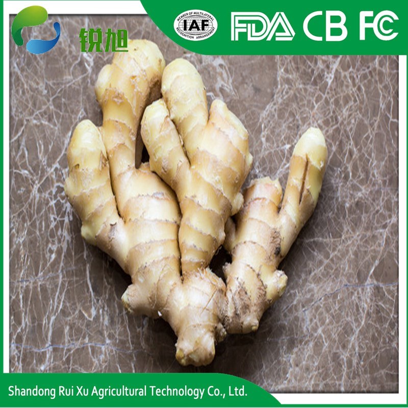 China Organic Fresh Ginger High Quantity Ginger