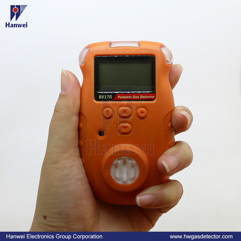 Portable Single Gas Detector for Combustible and Toxic Gas