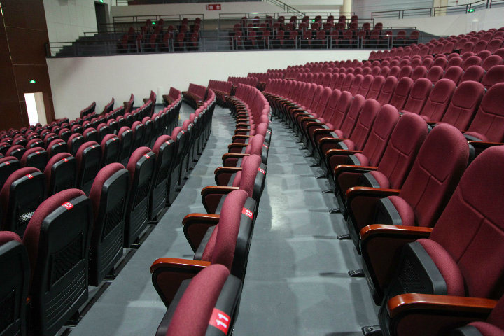 Economic Auditorium Seating Without Writing Tablet Hall Chair