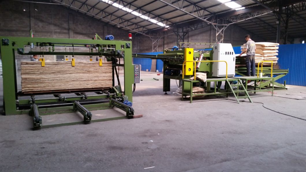 Manufacturer of Plywood Making Machine Woodworking Tool