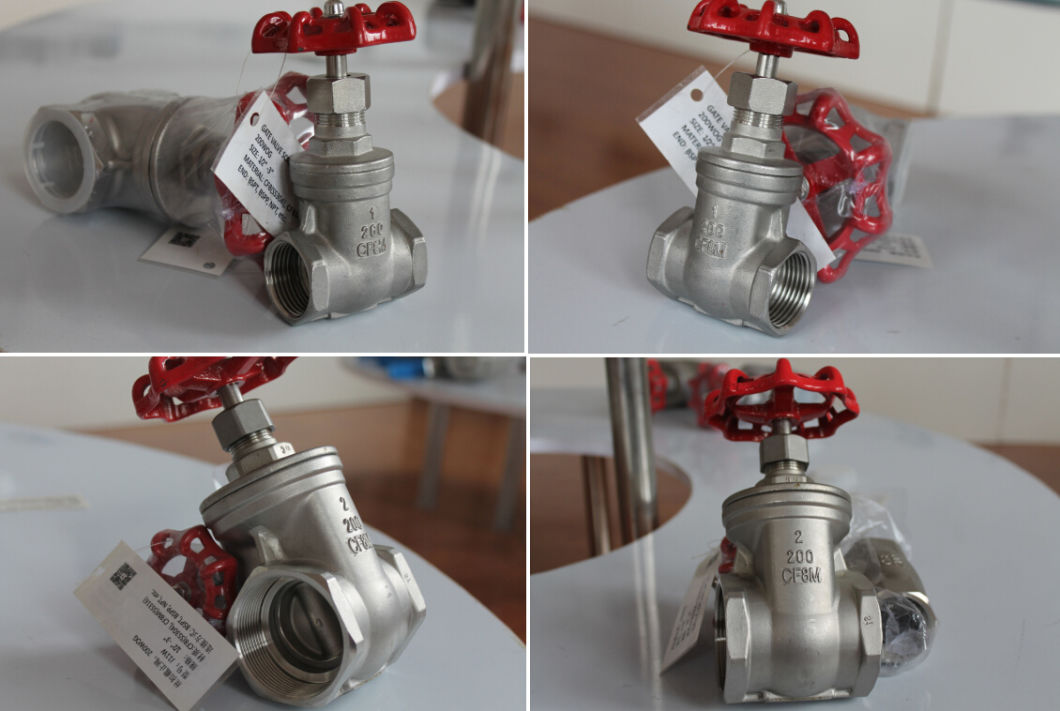 Stainless Steel Non-Rising Stem Threaded Gate Valve (200PSI)