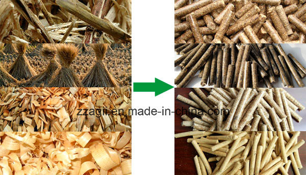 Hot Sale Ce Approved Rice Bran Pellets Machine Small Wood Pellet Mill for Sale