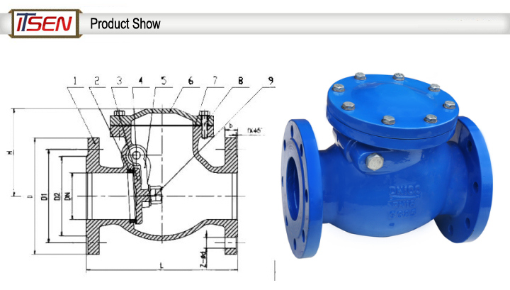 DIN Cast Iron Pn16 Flange End Swing Check Valve