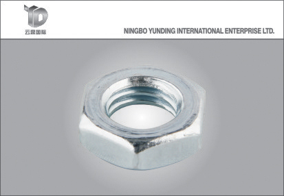 China Good Fastener Manufacturer Special Washer Nut with Hexagonal Flange Cap Nut, Good Quality