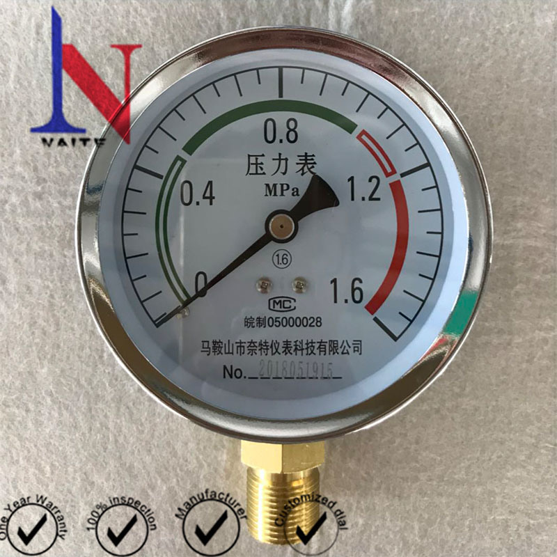 100mm Black Case Write Cover Dry Pressure Gauge