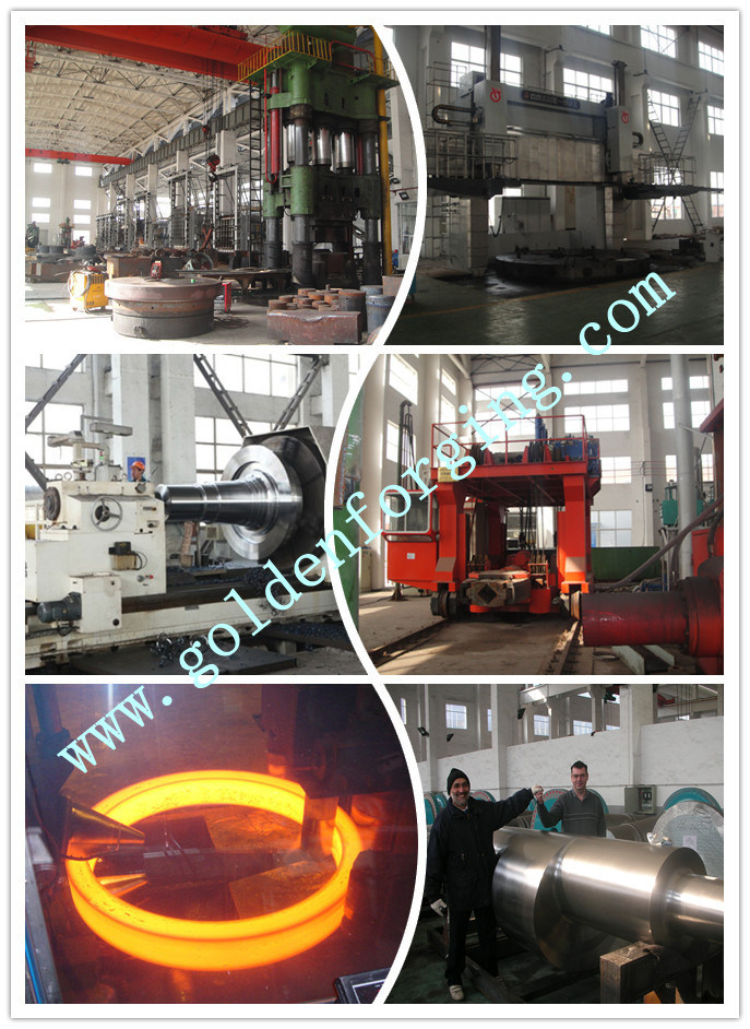 SAE1045 Forging Steel Shaft with Machined Size