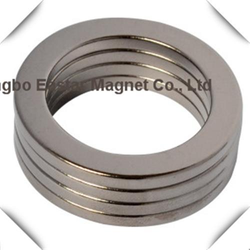 Sintered Ring Neodymium Magnet/NdFeB Magnet