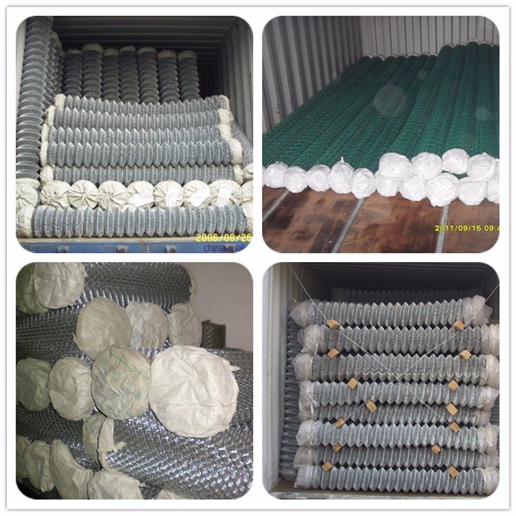 Chain Link Wire Fence Mesh (galvanized or PVC coated)