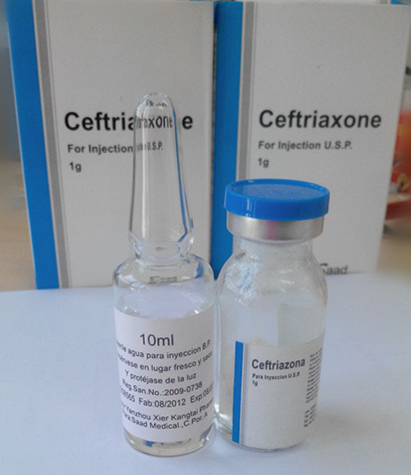 Best and Low Price Ceftriaxone Sodium Injection Ceftriaxone