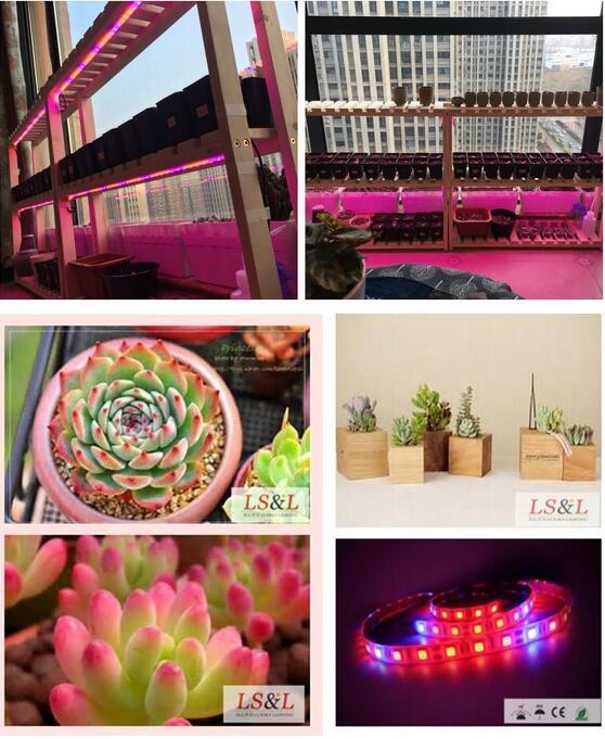 LED Growth Light Plant Vegetable Growth Strip Light with Ce&RoHS