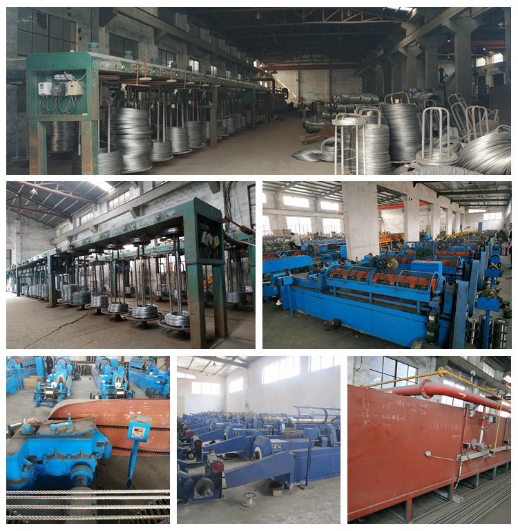 Edelstahldrahtseil Stainless Steel Wire Rope
