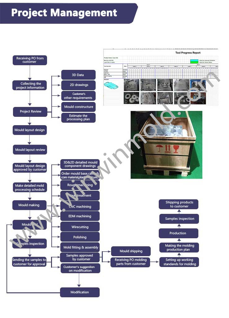 Medical Plastic Cap Plastic Injection Mold