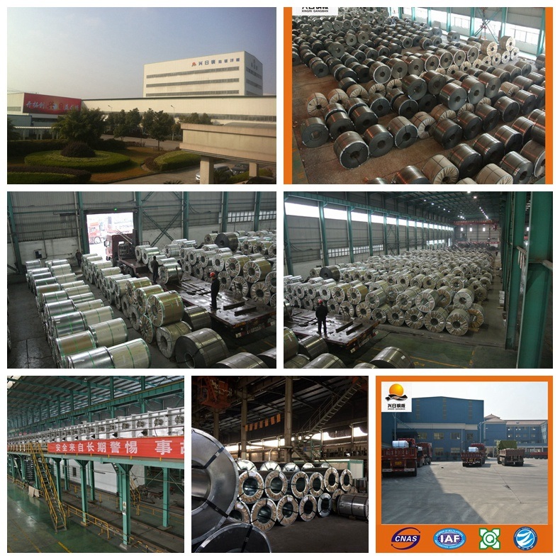 Hot Dipped Galvanzied Steel Coils Gi Coils/Galvanized Steel Coil