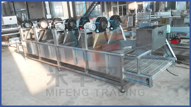 Continous Fruit and Vegetable Air Flow Mesh Belt Drying Machine