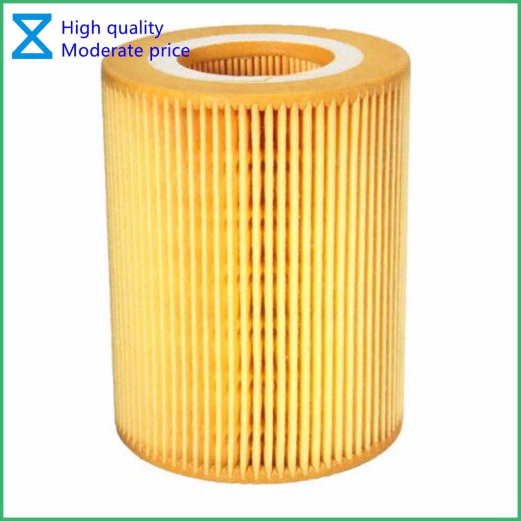 High Quality OEM/ODM Professional Factory Providing Oil Filter for BMW 3/5/7 Series