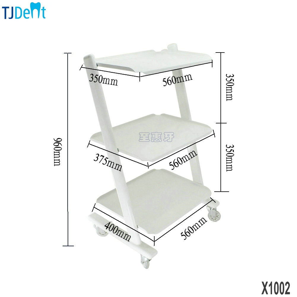 Dental Metal Movable Stand Rack for Display Store Shelf (X1002)
