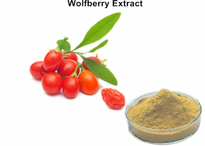 Spray Drying Pure Plant Polysaccharides Wolfberry (Goji Berry) Extract Powder