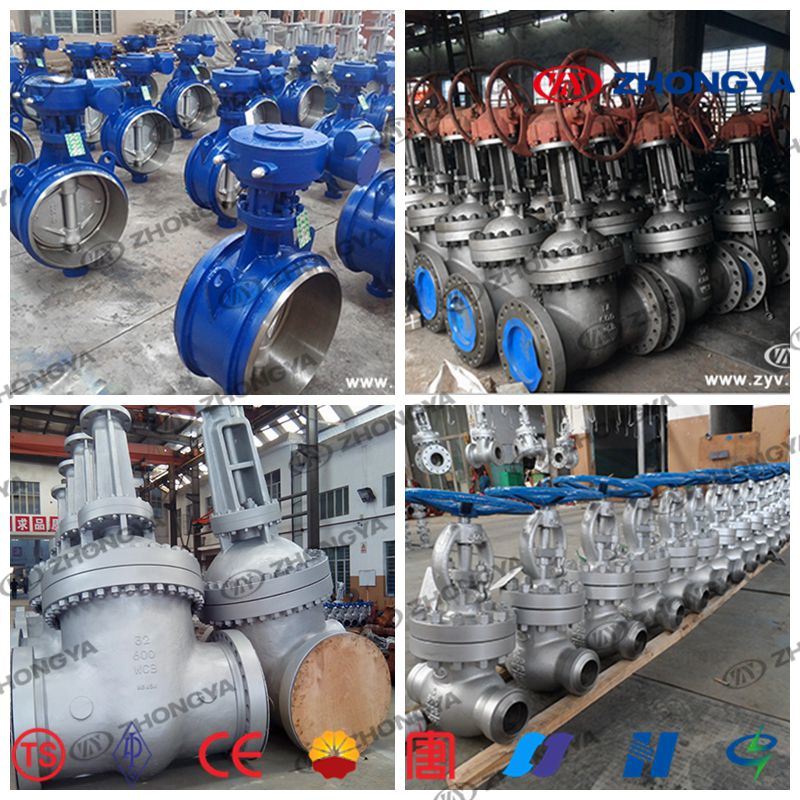 API Stainless Steel CF8 (M) /CF3 (M) Flanged Gate Valve