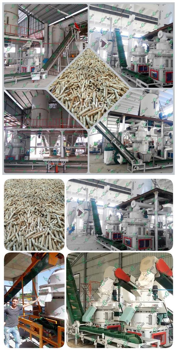 Yulong Patent Vertical Ring Die Wood Sawdust Pellet Machine