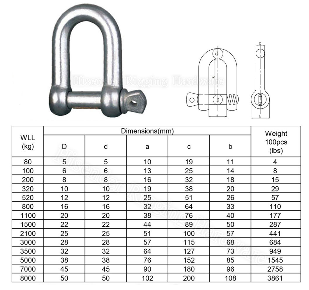 Zinc Plated European Dee Shackle of Marine Hardware