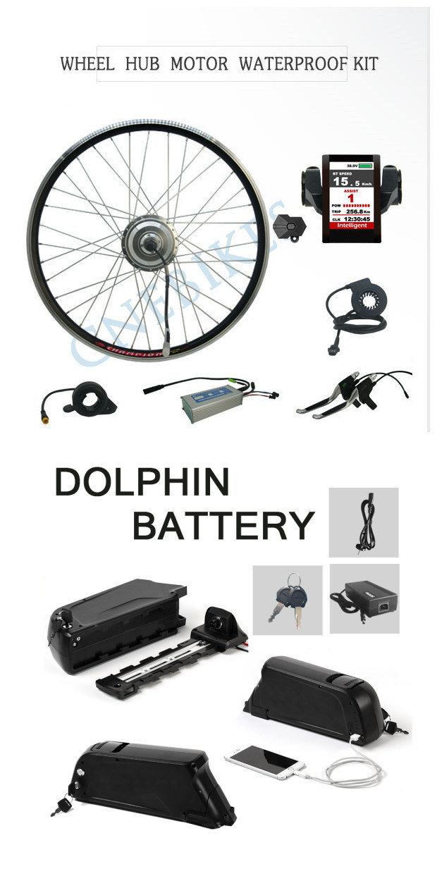 36V 350W Geared Ebike Conversion Kits with Lithium Battery