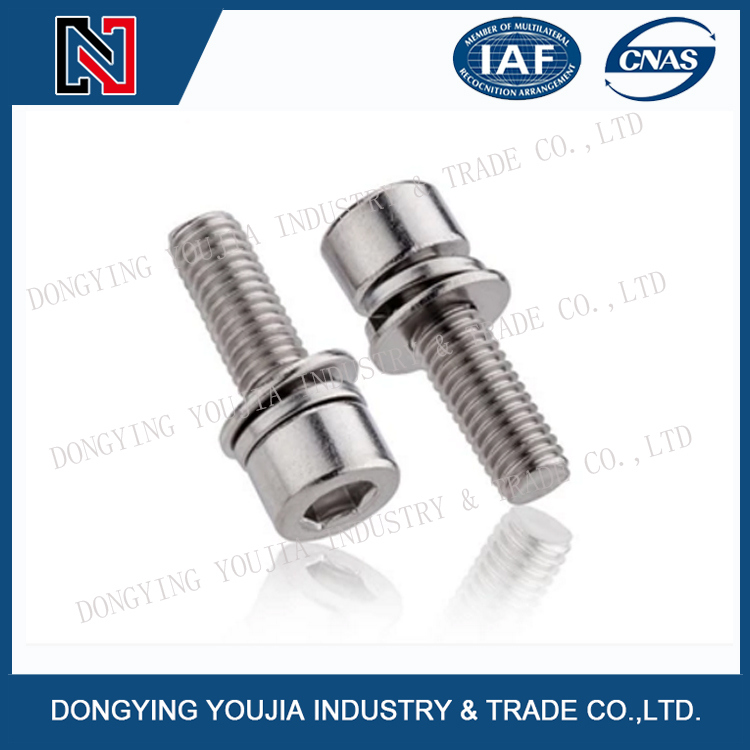 GB70.1 Stainless Steel Hexagon Socket Cheese Head Screw, Plain and Spring Washer Assemblies