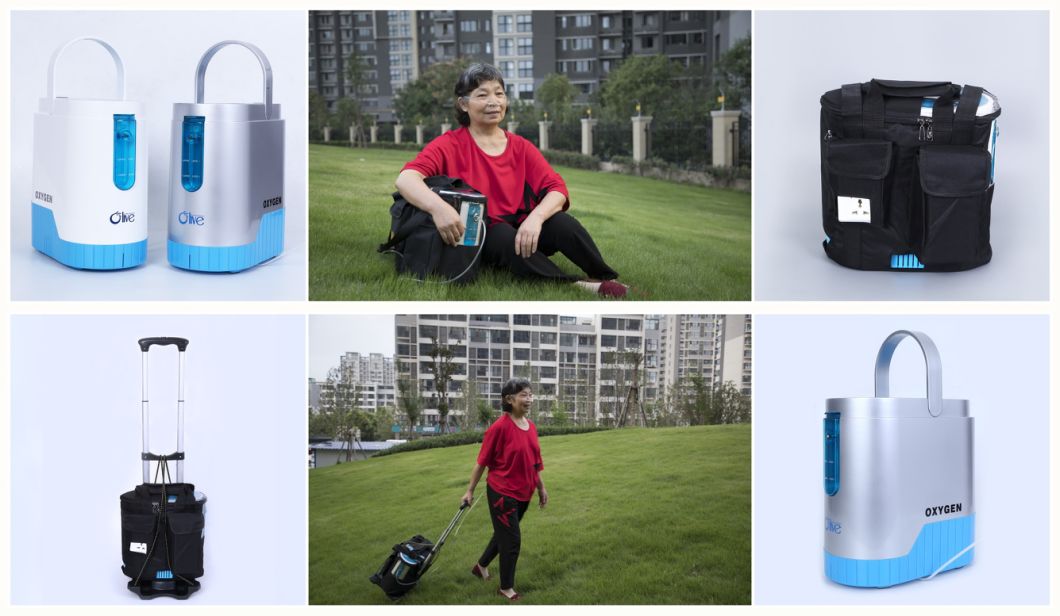 Continuous Flow 1-5L Trolley Mini Oxygen Concentrator for Home or Outdoor