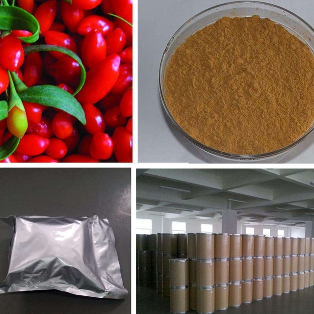 Natural Barbary Wolfberry Fruit Extract, Lycium Polysaccharides