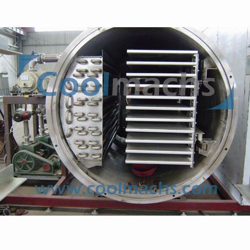 Vacuum Lyophilizer/Vacuum Freeze Dryer for Vegetable and Fruit