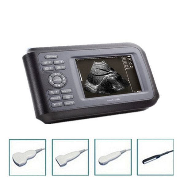 Cheap Price Handheld Portable Ultrasound Scanner with 5.5 Inches