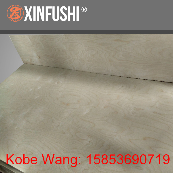 Baltic Birch Plywood for Europe Market