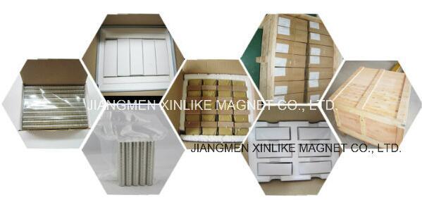 Permanent Ndfe B Neodymium Magnet with Rectangle Solid Zinc Finish