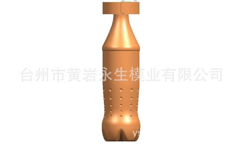 Different Size Bottle Blowing Mould