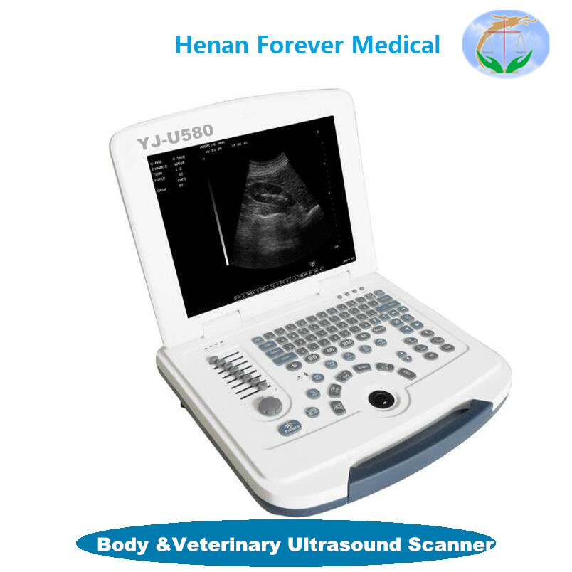 Handheld Veterinary Vet Ultrasound Scanner with Sector Probe