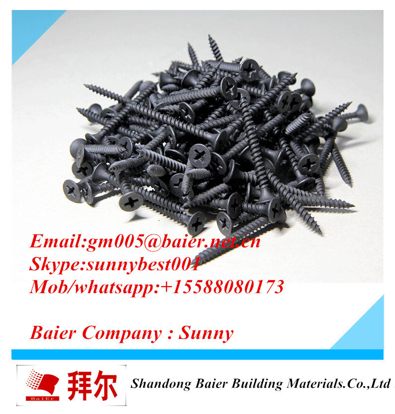 Gypsum Board Drywall Screw with Bugle Head and Good Quality and Good Survice