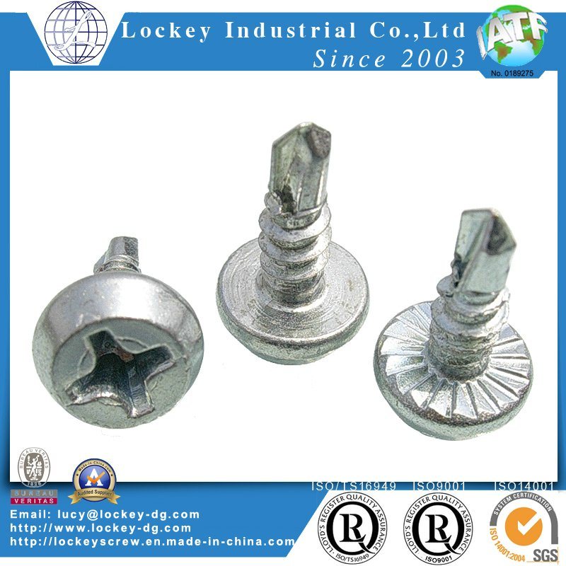 Self Tapping Screw Self Drilling Tapping Screw