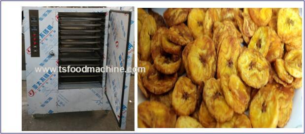 Industrial Fruit Drying Machine Plantain Chips Dryer