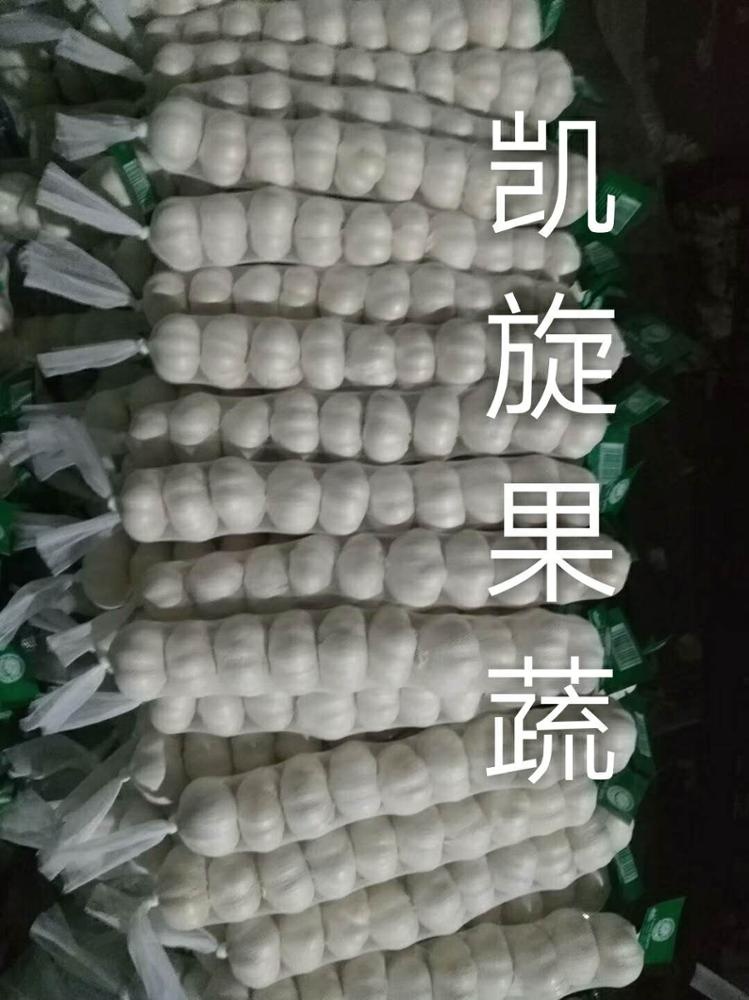 Natural Fresh White Garlic Wholesales Natural Fresh White Garlic Wholesales