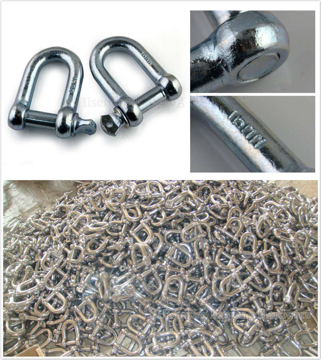 Zinc Plated European Dee Shackle of Marine Hardware