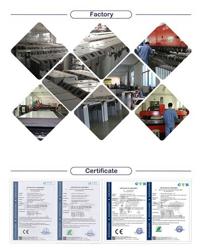 Double Mechanism Automatic Swing Gates for Access Control