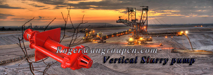 Long Shaft Centrifugal Electric Submersible Vertical Slurry Pump Pit Pump