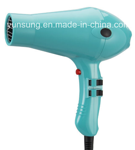 Hair Dryer Professional Products with Hair Diffuser (YS-6721)